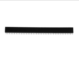Berg Strip Female
